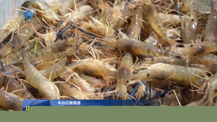 【20250910】为成都市民增添