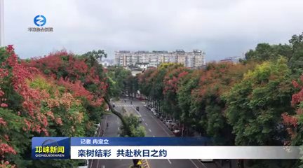 【20250916】栾树结彩 共赴