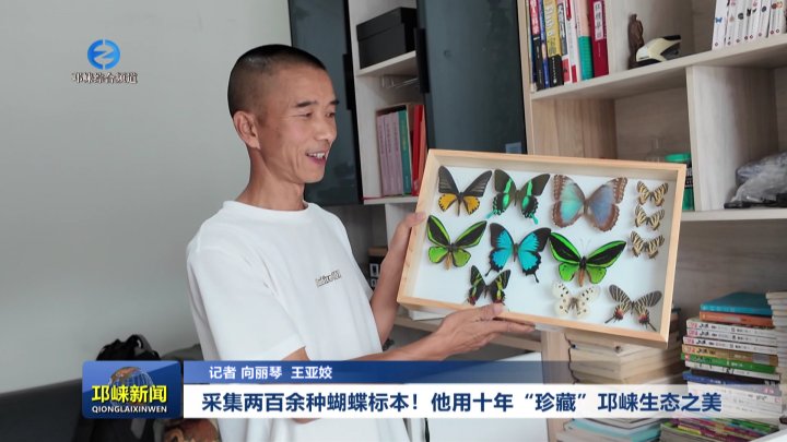 【20250918】采集两百余种蝴
