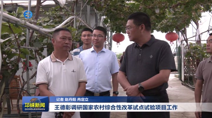 【20250919】王德彰调研国家