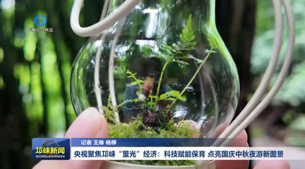 【20250924】央视聚焦邛崃“