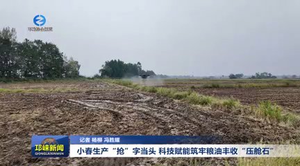 【20251016】小春生产“抢”