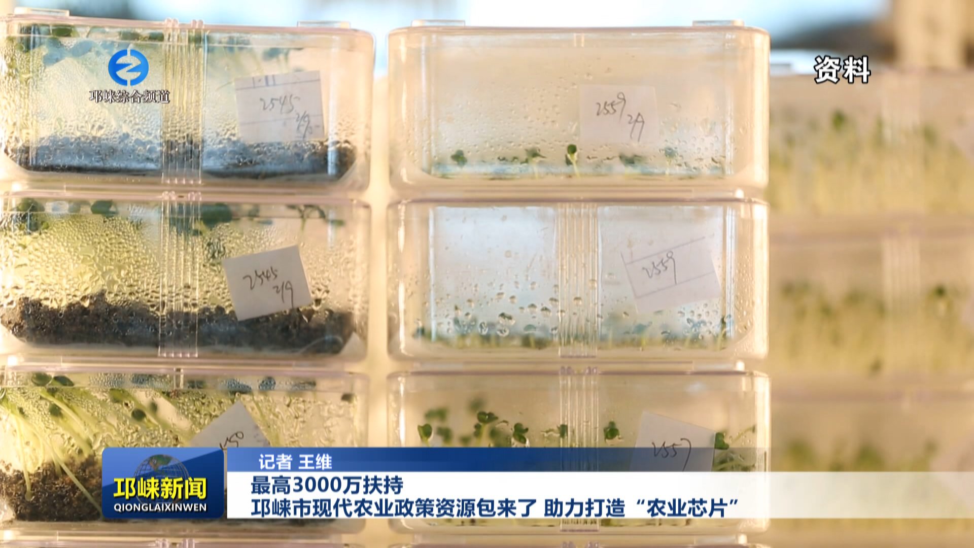 【20251017】最高3000万扶持
