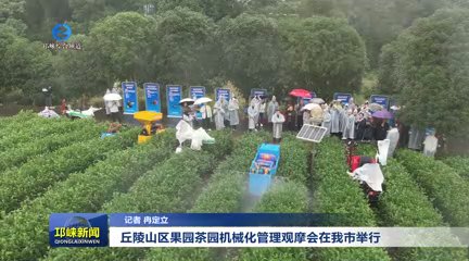 【20251023】丘陵山区果园茶