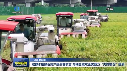 【20251023】成都水稻绿色高