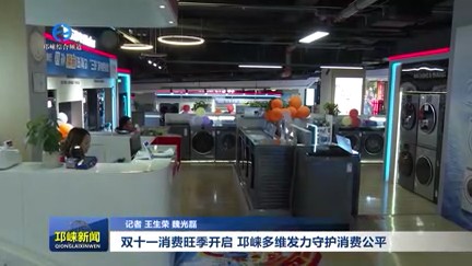 【20251104】双十一消费旺季