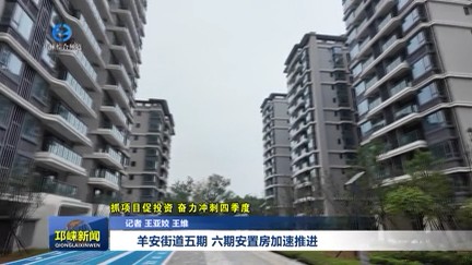 【20251107】羊安街道五期、