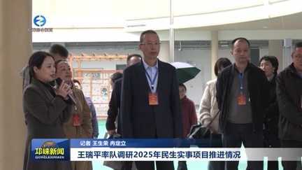 【20251107】王瑞平率队调研