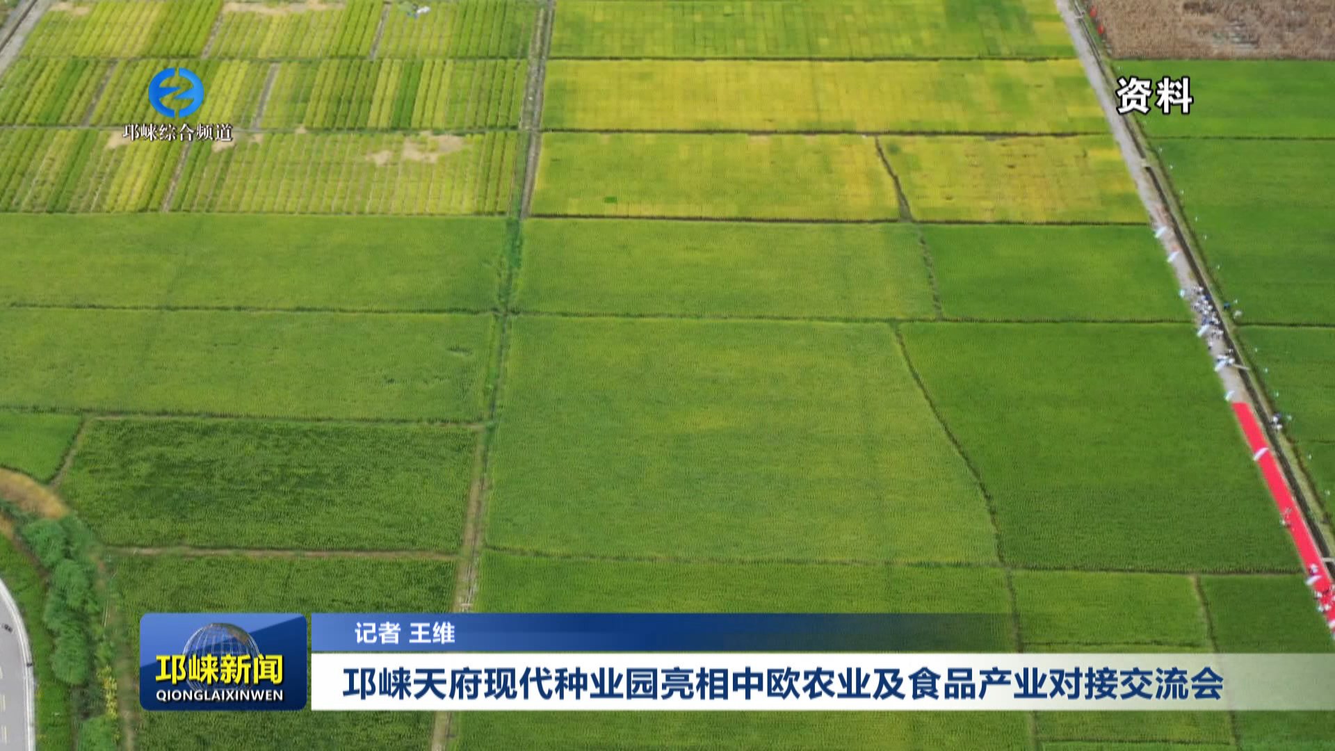 【20251121】邛崃天府现代种