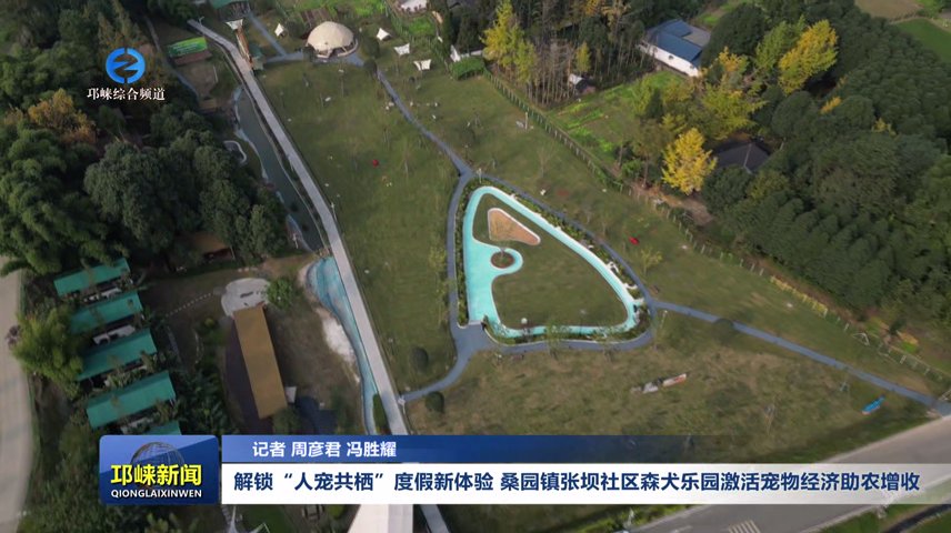 【20251125】解锁“人宠共栖