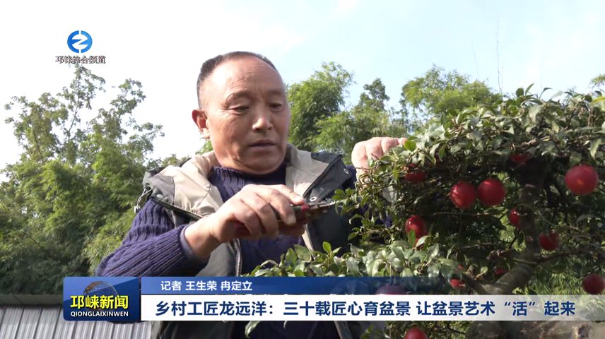【20251125】乡村工匠龙远洋
