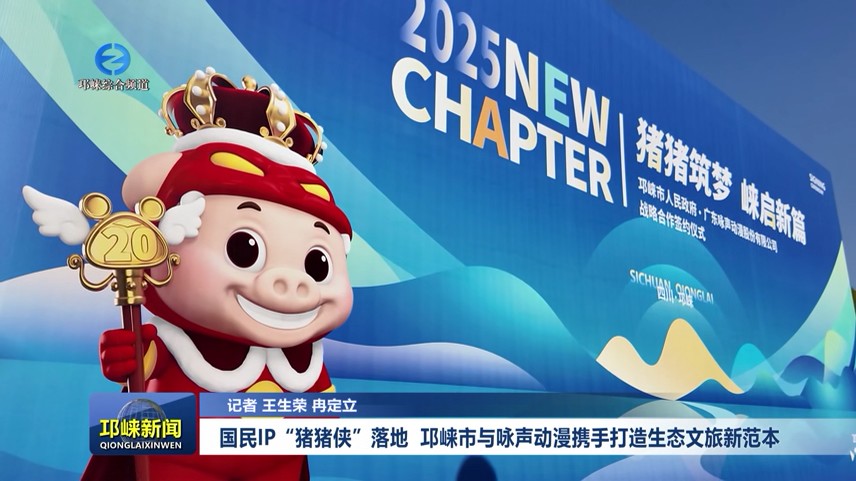 【20251127】国民IP“猪猪侠