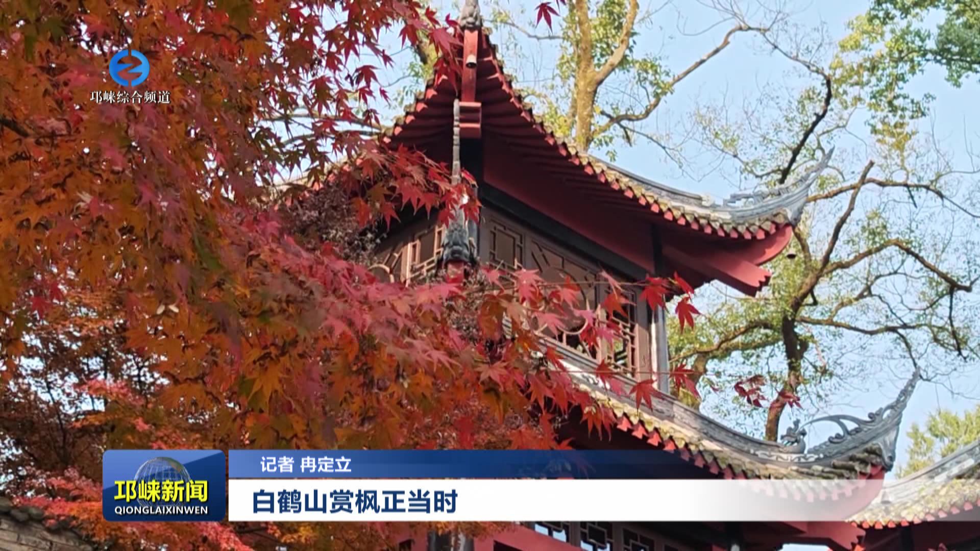 【20251202】白鹤山赏枫正当