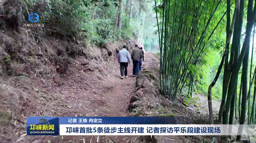 【20251212】邛崃首批5条徒