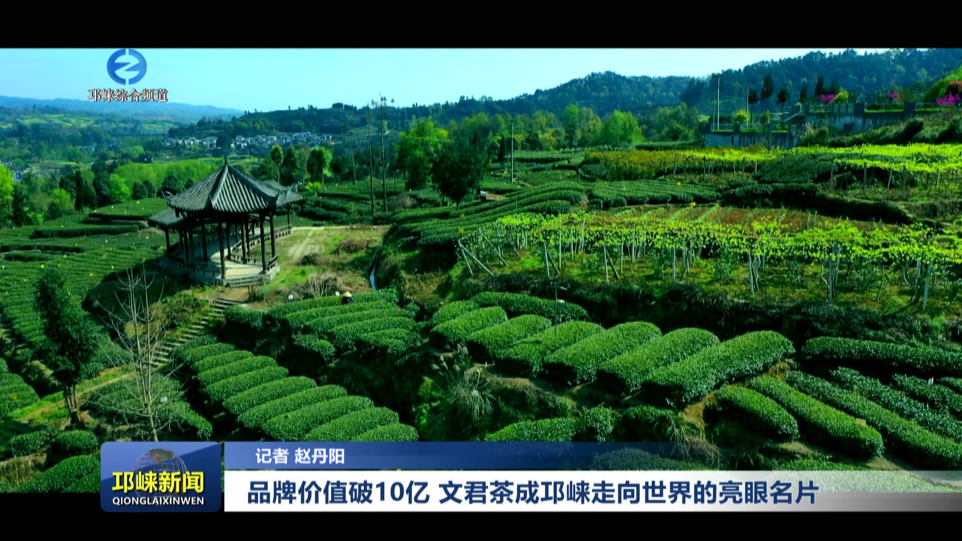 【20251217】品牌价值破10亿