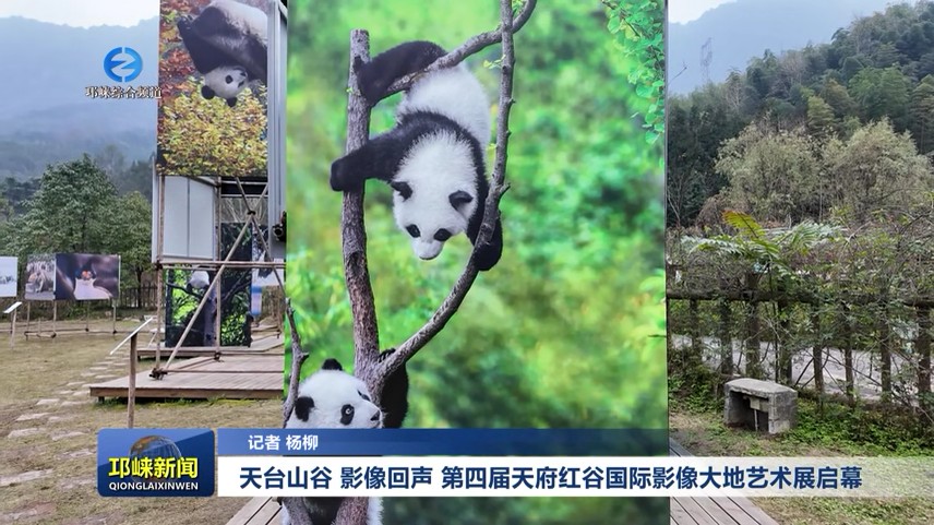 【20251218】天台山谷 影像