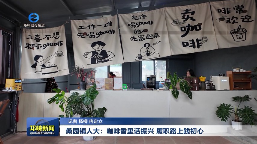 【20251223】桑园镇人大：咖