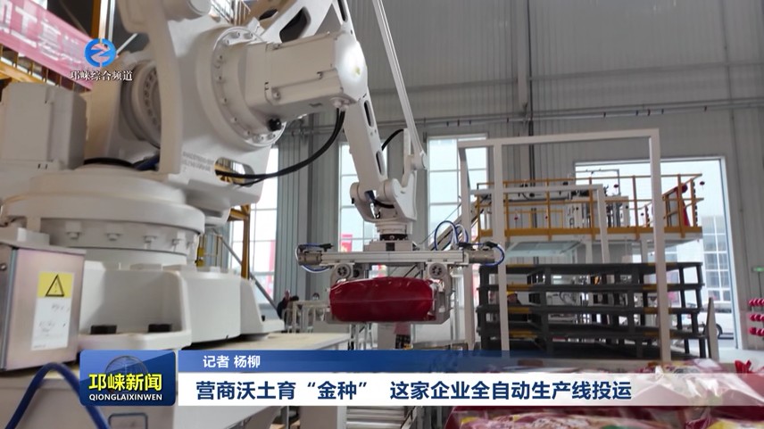 【20251223】营商沃土育“金