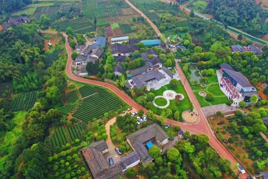 茶香绕步道、田园嵌酒香