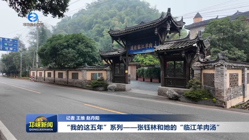 【20251230】“我的这五年”
