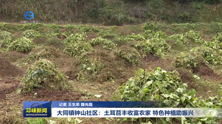 【20260107】大同镇钟山社区