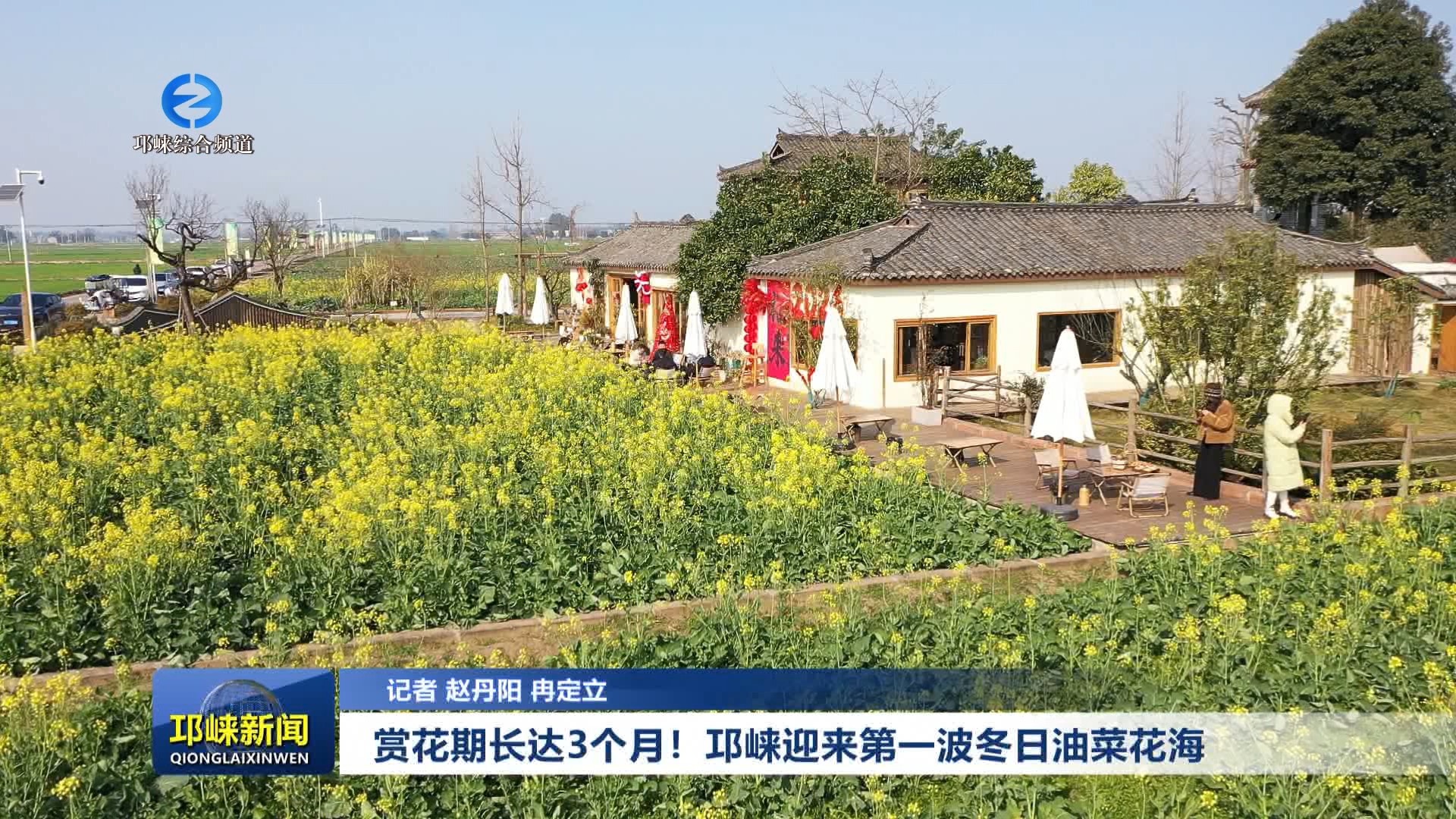 【20260108】赏花期长达3个