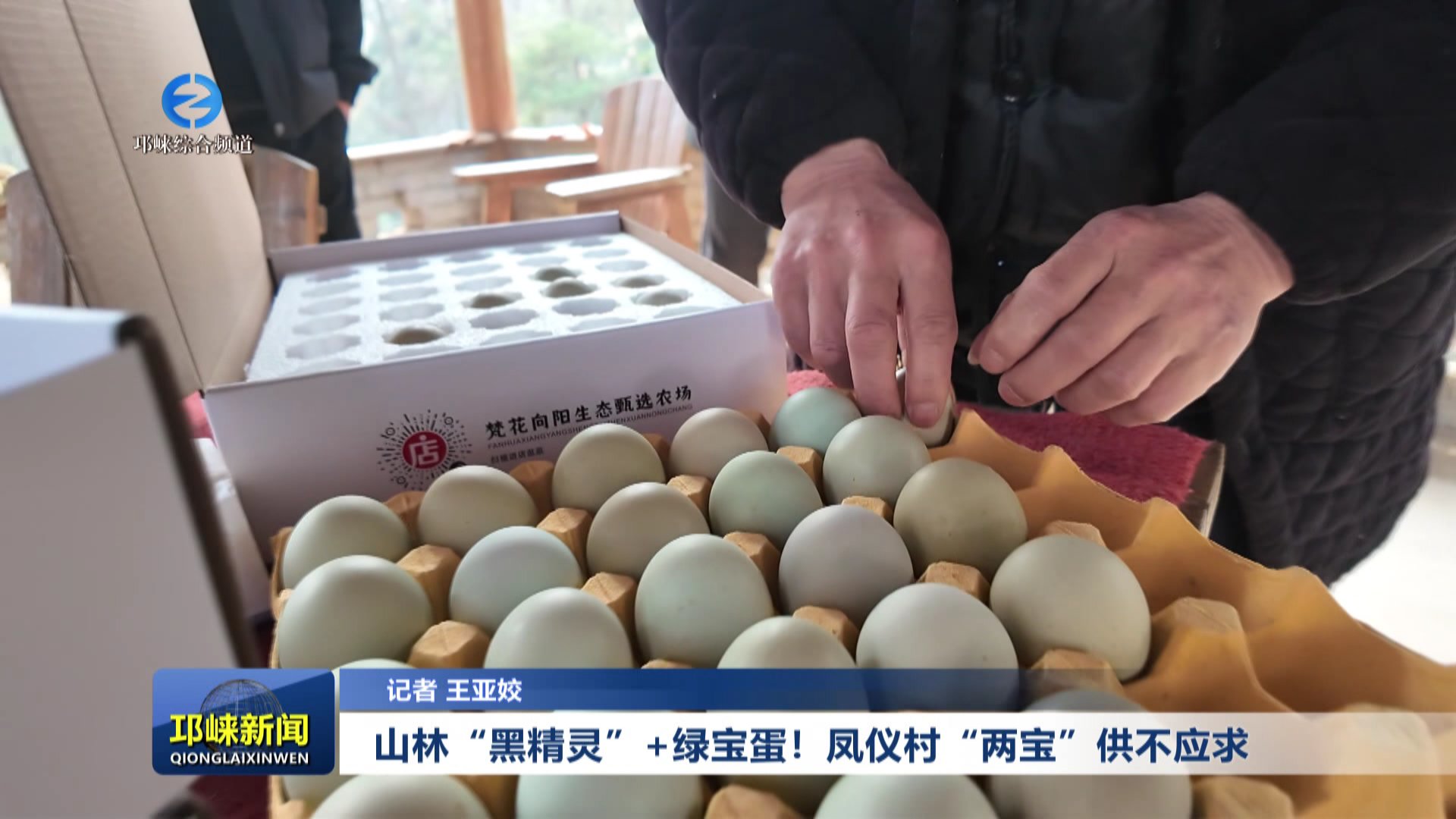 【20260114】山林“黑精灵”