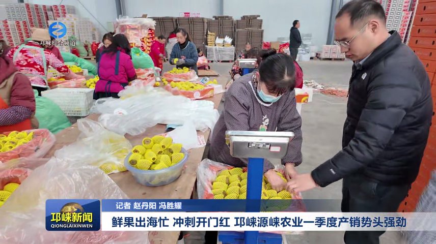 【20250115】鲜果出海忙 冲