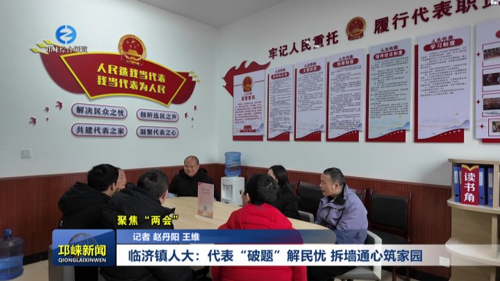 【20260120】临济镇人大：代