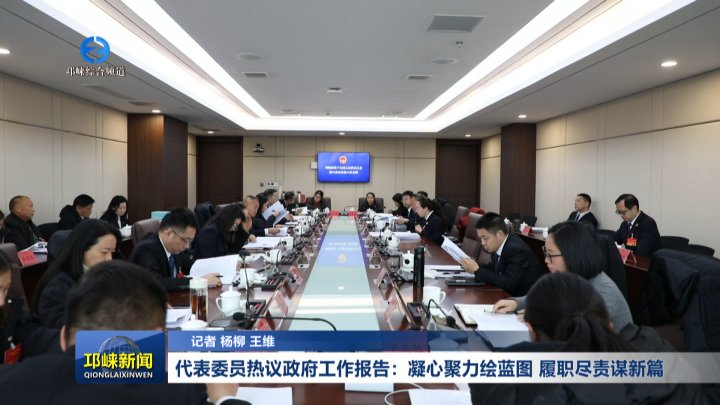 【20260121】代表委员热议政