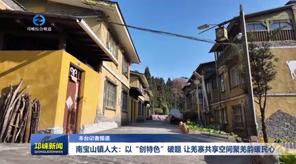 【20260123】南宝山镇人大：
