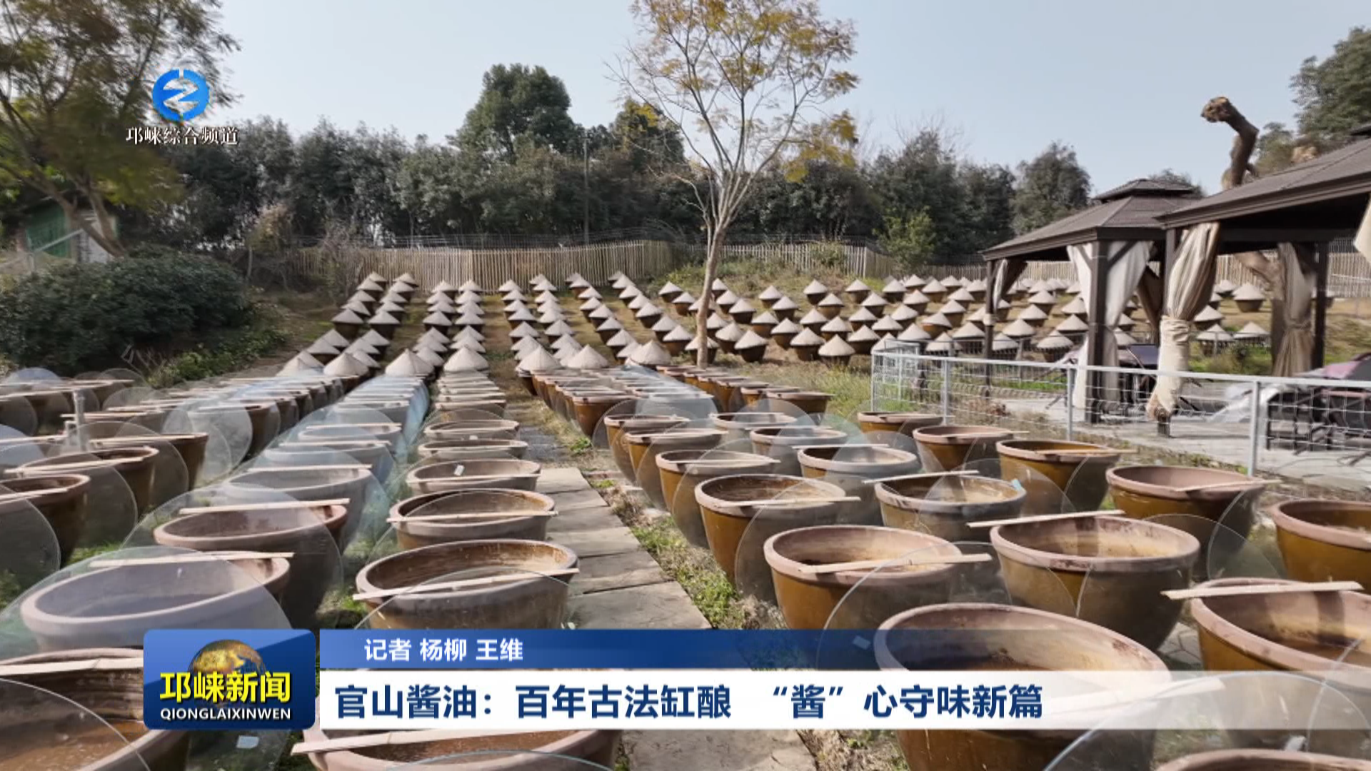 【20260128】官山酱油：百年