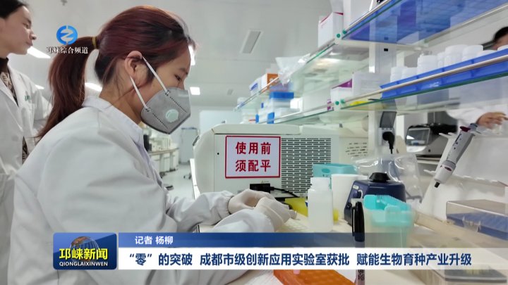 【20260129】“零”的突破