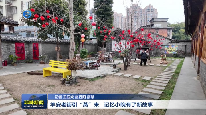 【20260130】羊安老街引“燕