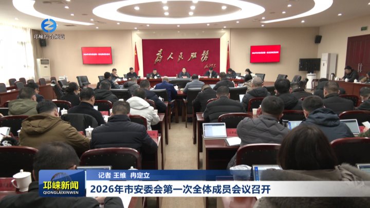 【20260210】2026年市安委会