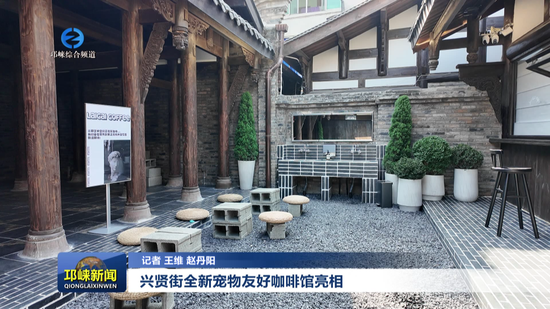 【20260213】兴贤街全新宠物