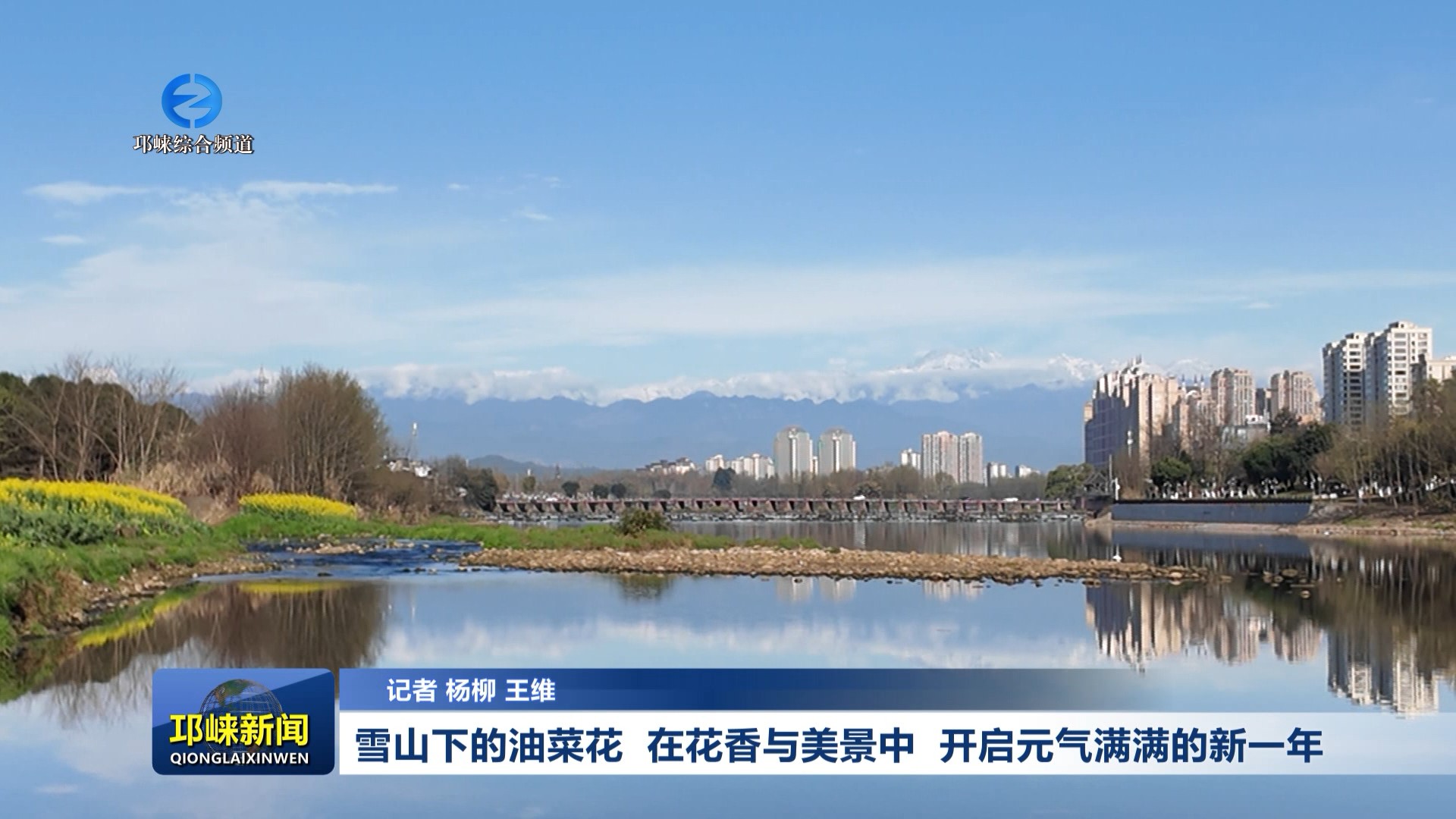 【20260224】雪山下的油菜花