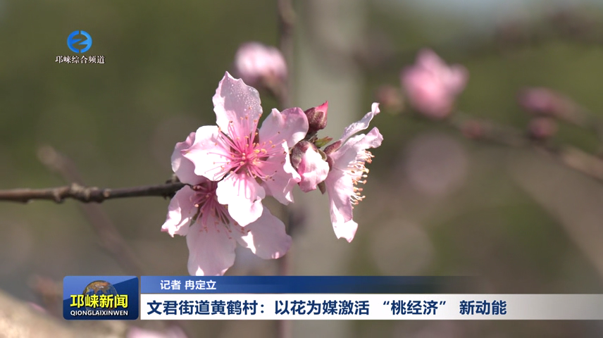【20260304】文君街道黄鹤村