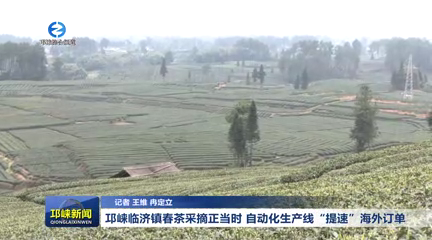 【20260305】邛崃临济镇春茶