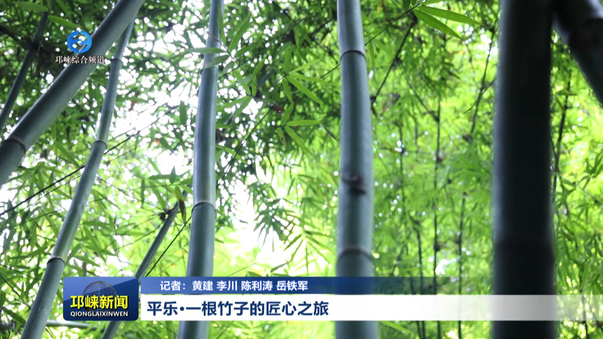 【20260306】平乐·一根竹子