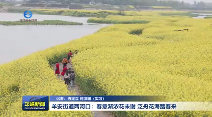 【20260311】羊安街道两河口