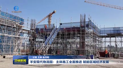 【20260311】羊安现代物流园