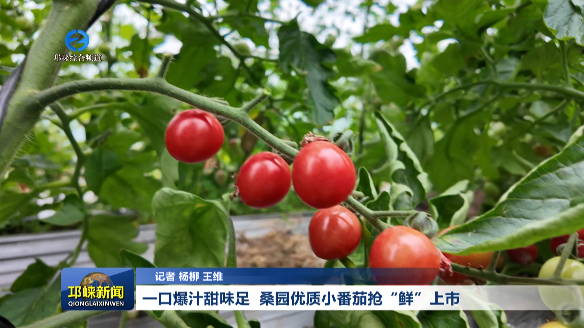 【20260323】一口爆汁甜味足