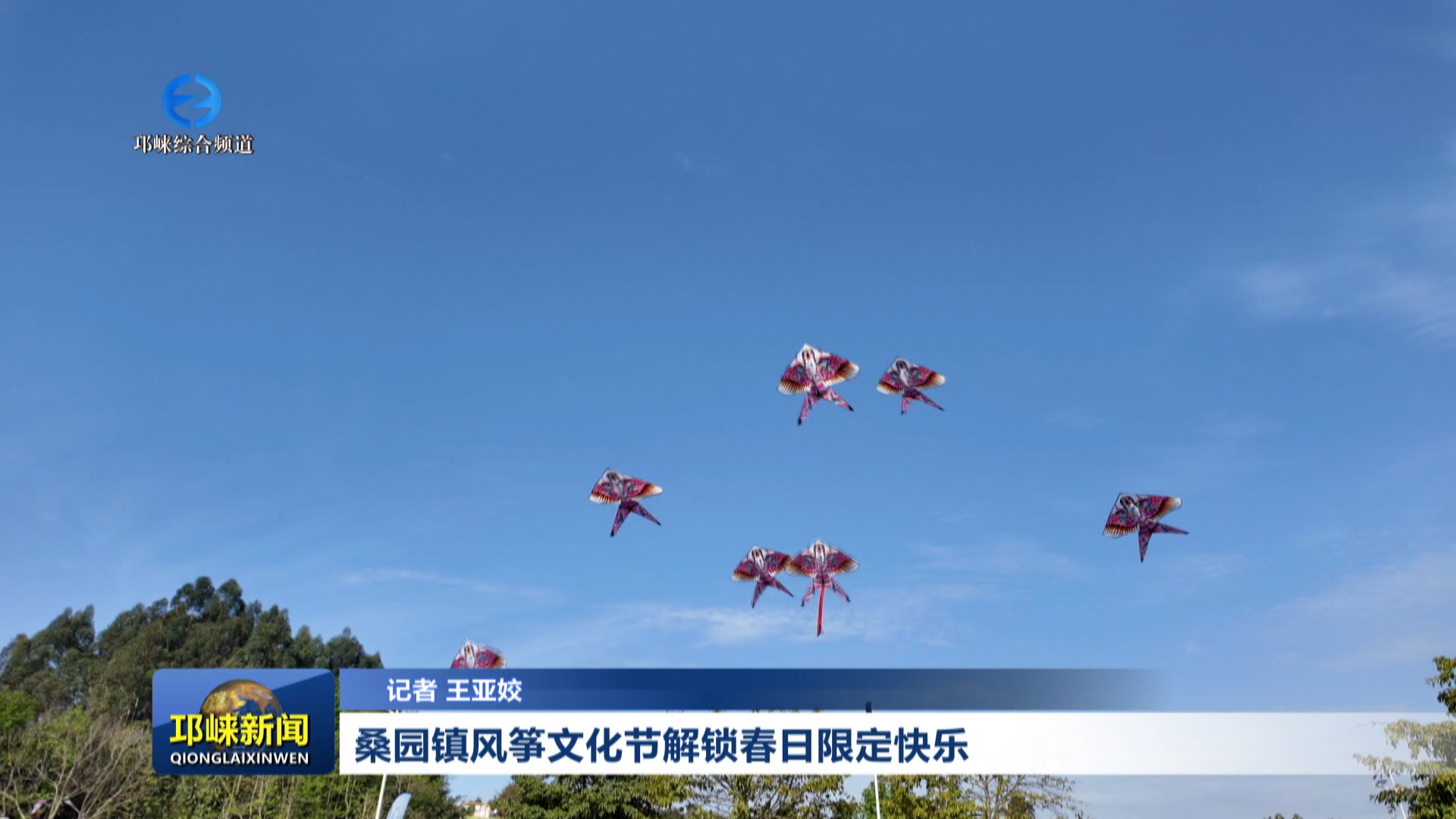 【20260330】桑园镇风筝文化