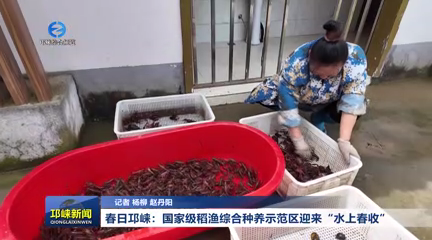 【20260414】春日邛崃：国家