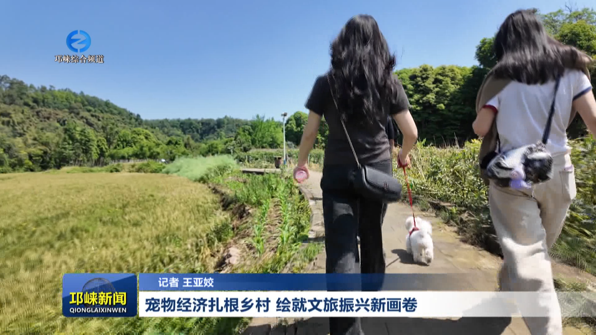 【20260420】宠物经济扎根乡