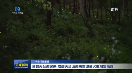 【20260430】萤舞天台迎客来
