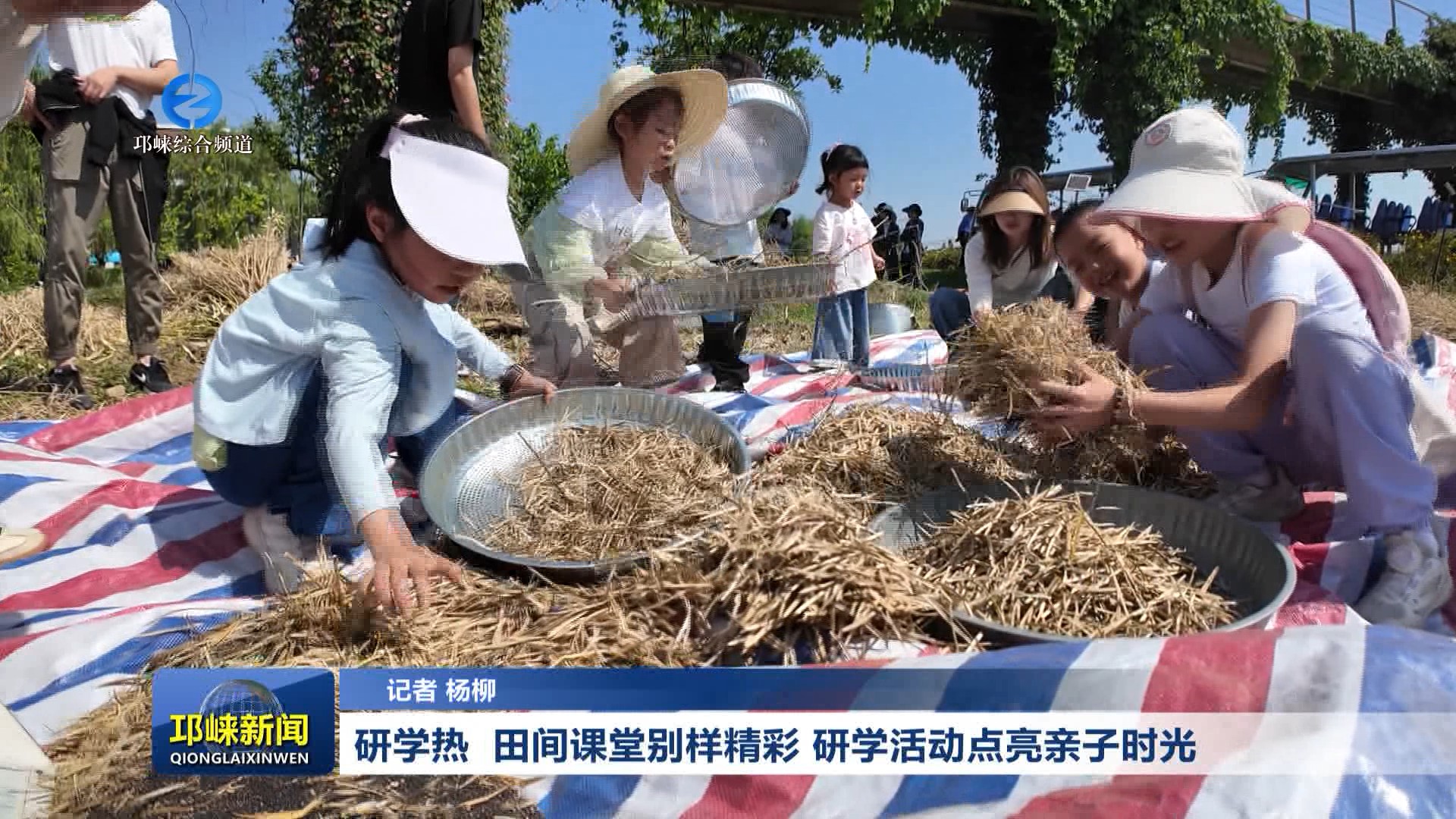 【20260506】研学热 田间课