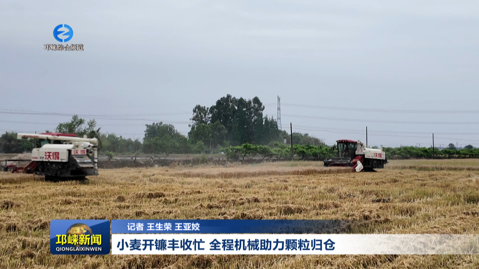 【20260507】小麦开镰丰收忙
