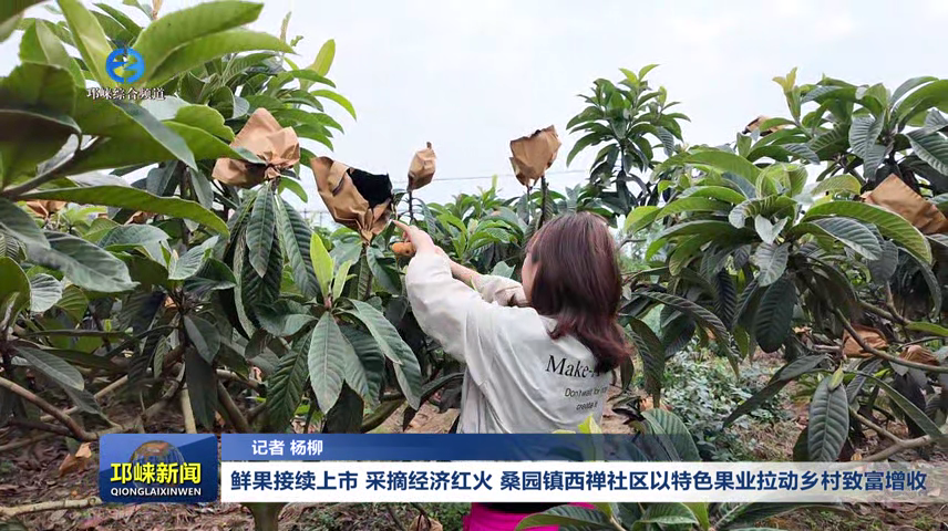 【20260513】鲜果接续上市